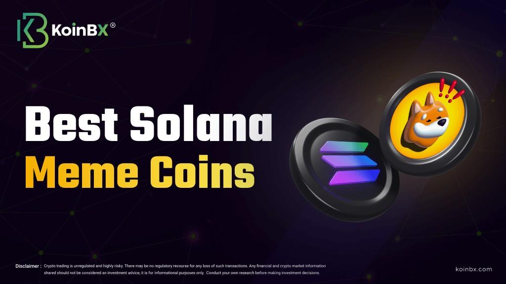 Best Solana meme coins to watch out | KoinBX