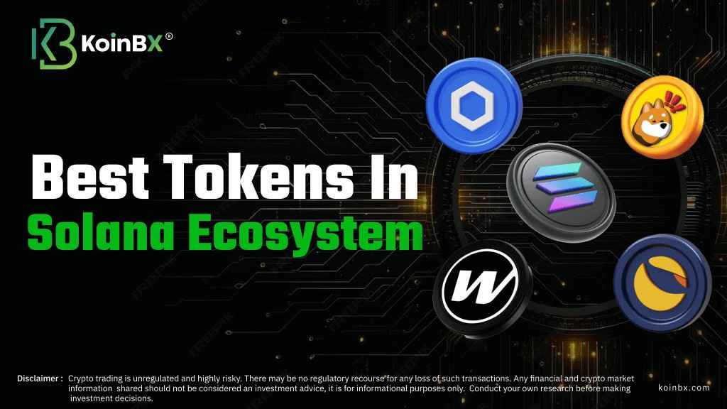 Top Solana Ecosystem Cryptos to Invest in 2024