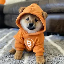 DOG-INR