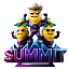 SUMMIT-INR
